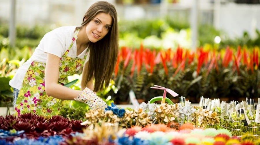 Alt du skal vide om at skabe det perfekte blomsterbed