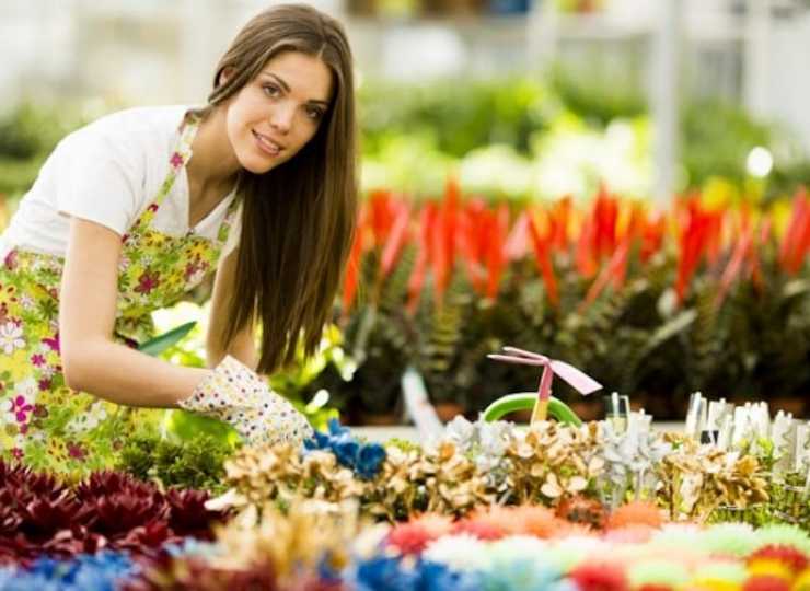 Alt du skal vide om at skabe det perfekte blomsterbed