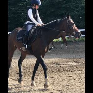 Mira K. | 2980 Kokkedal Mira K. | 2980 Kokkedal