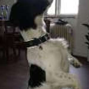 Lars V. | 9240 Nibe Lars V. | 9240 Nibe
