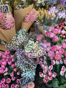 Elena B. | 2920 Charlottenlund Elena B. | 2920 Charlottenlund